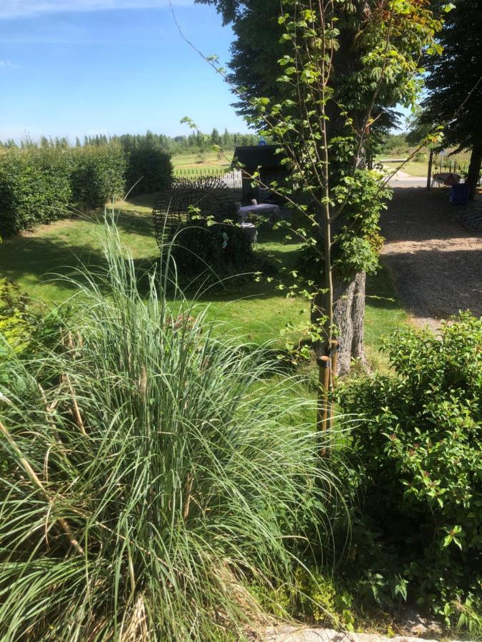 Hoeve Cornelia Berkel en Rodenrijs Exterior photo
